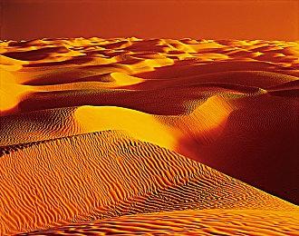 343正在寻找新设计师来策划《光环：无限》的“铸造器”内容