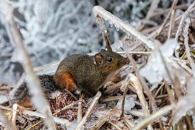 KK官方对战平台疯狂7特惠周火热启动，畅销地图礼包全场7折起！