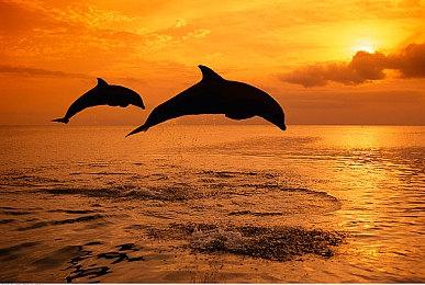 小镇做题家解开世纪迷局 冒险解谜AVG《特斯拉之谜》试玩demo上线！